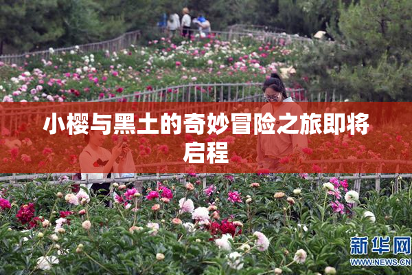 小樱与黑土的奇妙冒险之旅即将启程