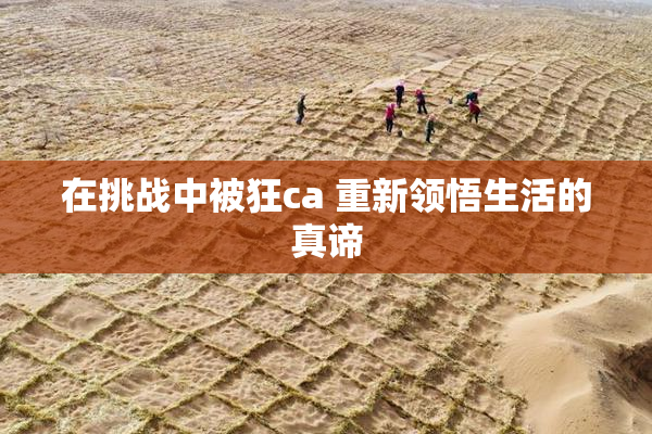 在挑战中被狂ca 重新领悟生活的真谛