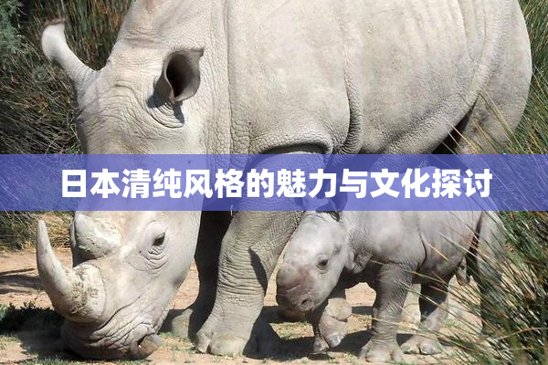 日本清纯风格的魅力与文化探讨