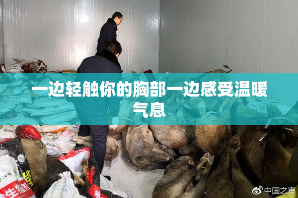 一边轻触你的胸部一边感受温暖气息