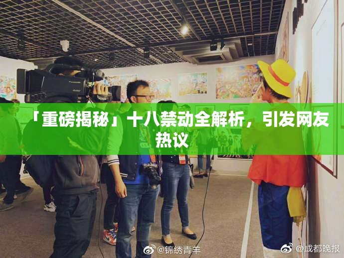 「重磅揭秘」十八禁动全解析，引发网友热议