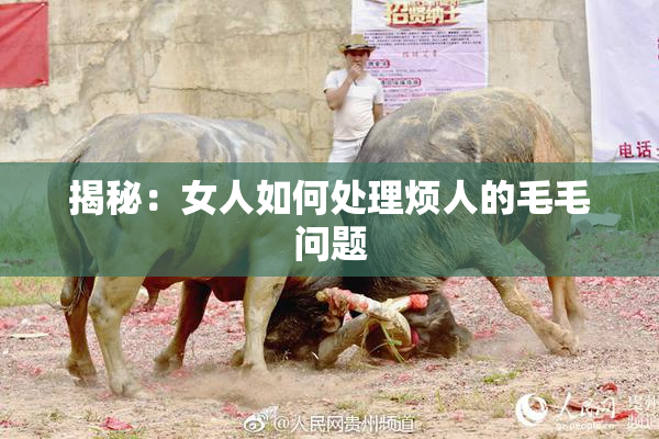 揭秘：女人如何处理烦人的毛毛问题