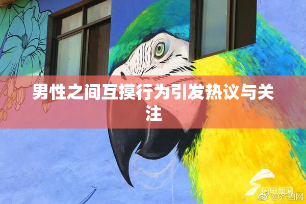 男性之间互摸行为引发热议与关注