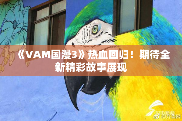 《VAM国漫3》热血回归！期待全新精彩故事展现