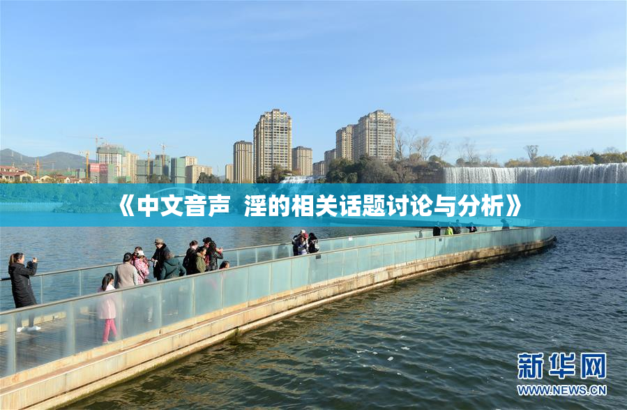 《中文音声  淫的相关话题讨论与分析》