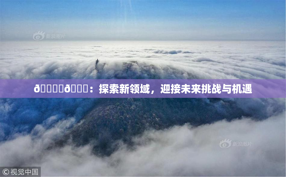🔞‌🍌：探索新领域，迎接未来挑战与机遇