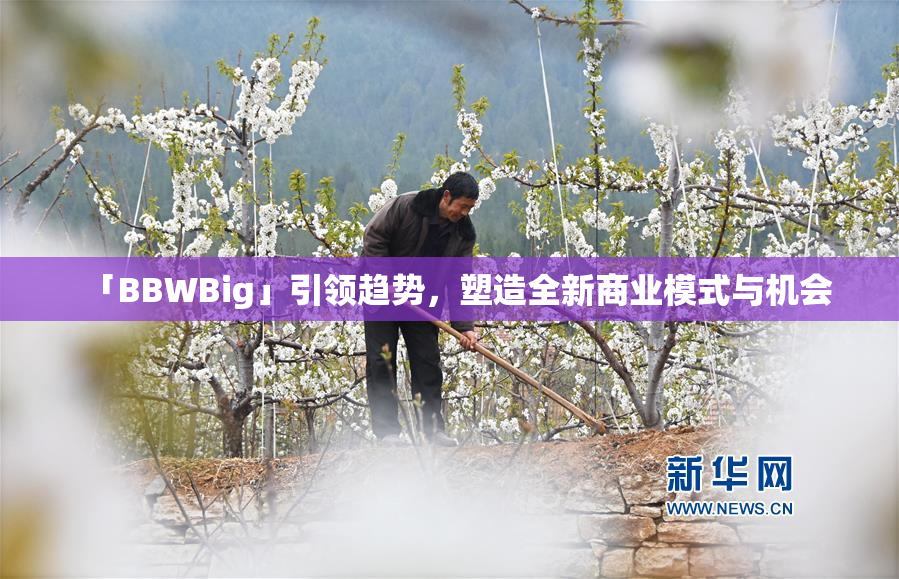 「BBWBig」引领趋势，塑造全新商业模式与机会