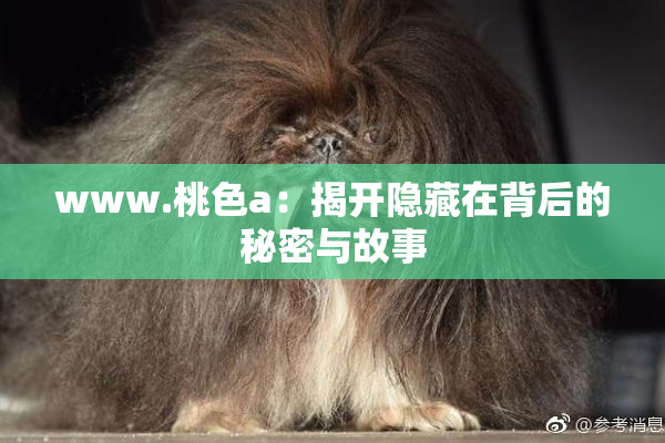 www.桃色a：揭开隐藏在背后的秘密与故事