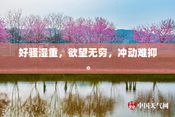 好骚湿重，欲望无穷，冲动难抑。