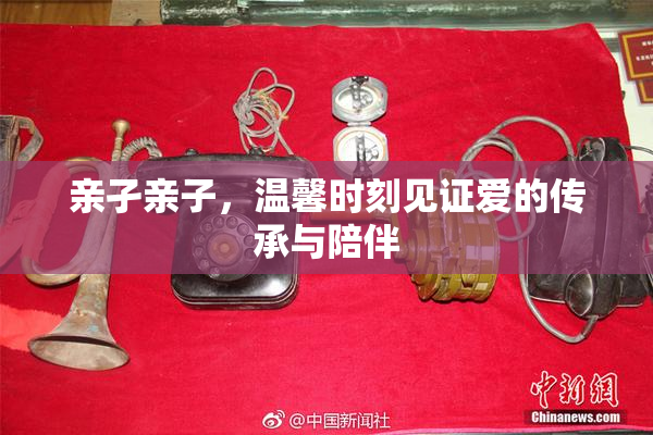 亲孑亲子，温馨时刻见证爱的传承与陪伴