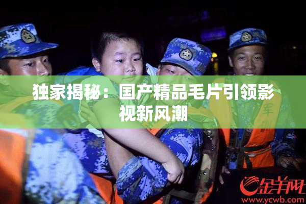 独家揭秘：国产精品毛片引领影视新风潮