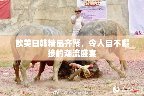 欧美日韩精品齐聚，令人目不暇接的潮流盛宴