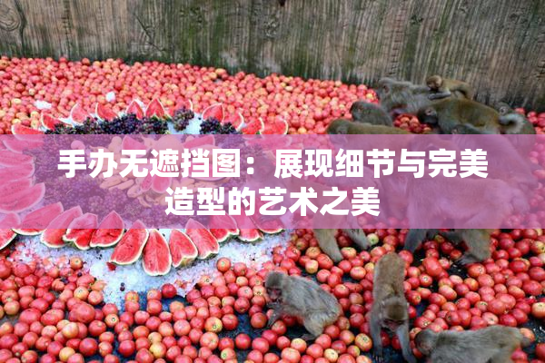 手办无遮挡图：展现细节与完美造型的艺术之美