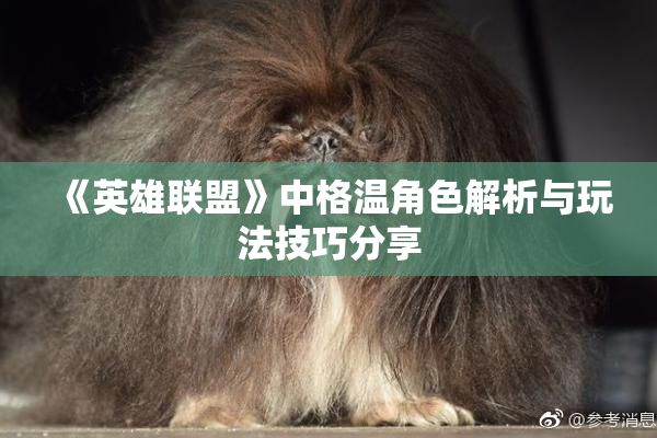 《英雄联盟》中格温角色解析与玩法技巧分享