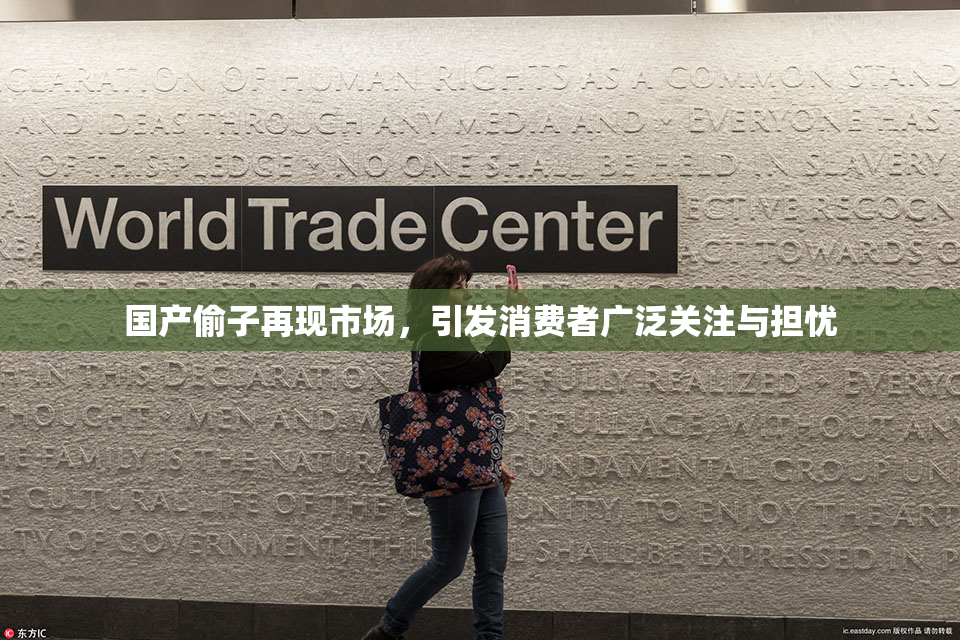 国产偷子再现市场，引发消费者广泛关注与担忧