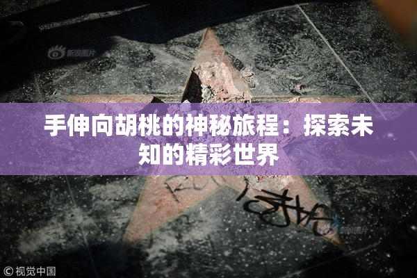 手伸向胡桃的神秘旅程：探索未知的精彩世界