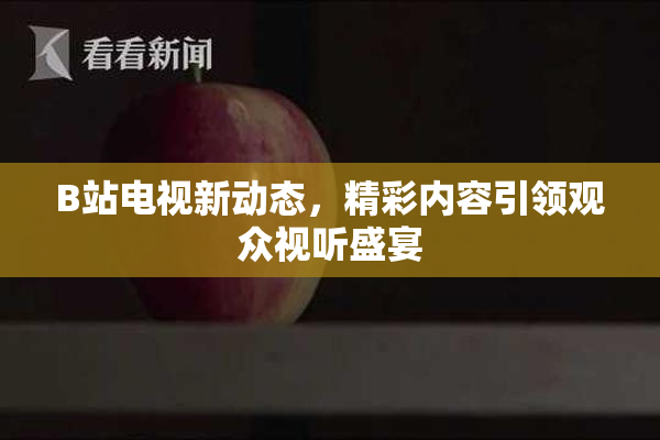 B站电视新动态，精彩内容引领观众视听盛宴