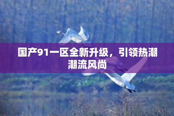 国产91一区全新升级，引领热潮潮流风尚
