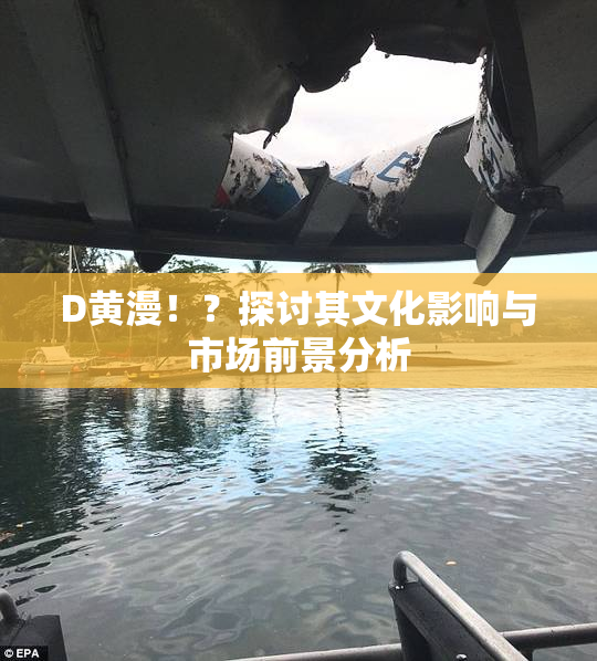 D黄漫！？探讨其文化影响与市场前景分析