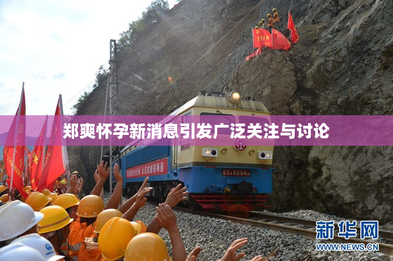 郑爽怀孕新消息引发广泛关注与讨论
