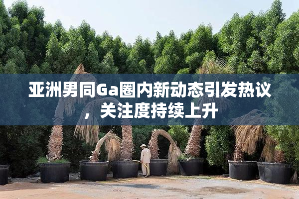 亚洲男同Ga圈内新动态引发热议，关注度持续上升
