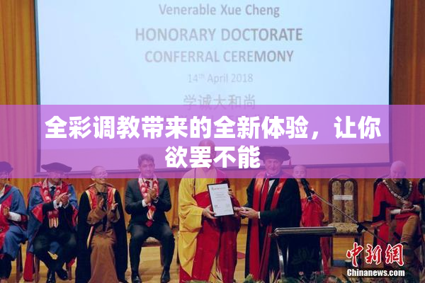 全彩调教带来的全新体验，让你欲罢不能
