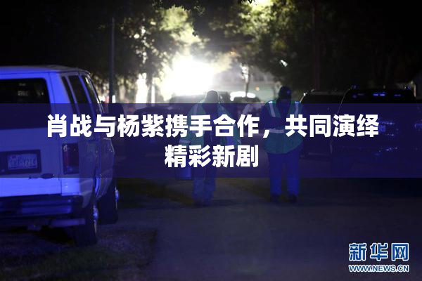 肖战与杨紫携手合作，共同演绎精彩新剧