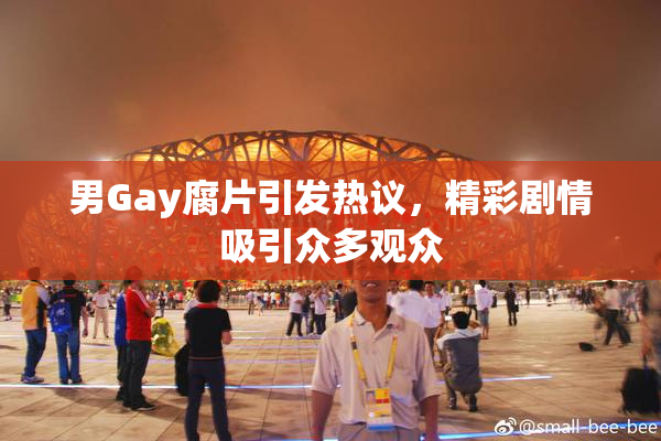 男Gay腐片引发热议，精彩剧情吸引众多观众