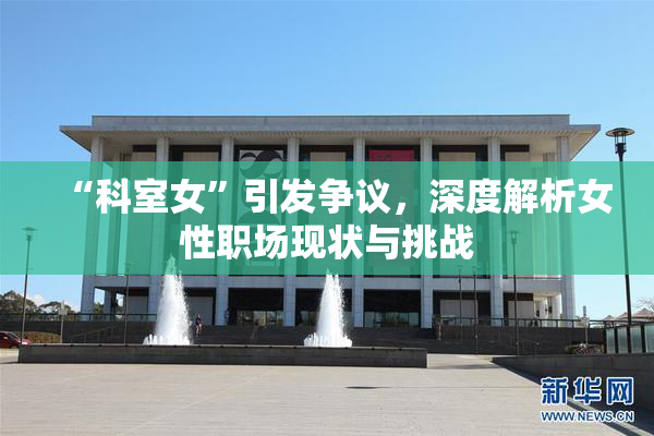 “科室女”引发争议，深度解析女性职场现状与挑战