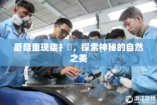 蘑菇重现柒扌畐，探索神秘的自然之美