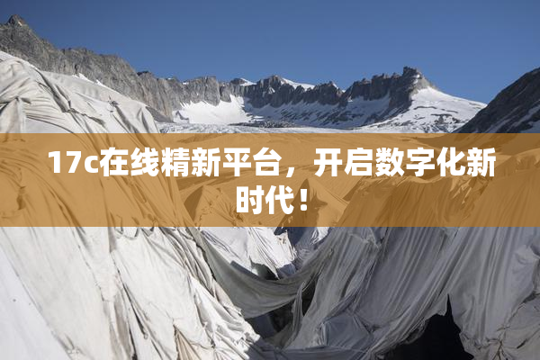 17c在线精新平台，开启数字化新时代！