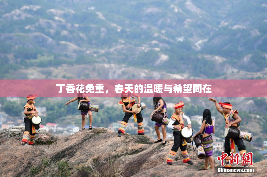 丁香花免重，春天的温暖与希望同在