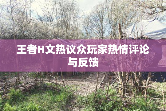 王者H文热议众玩家热情评论与反馈