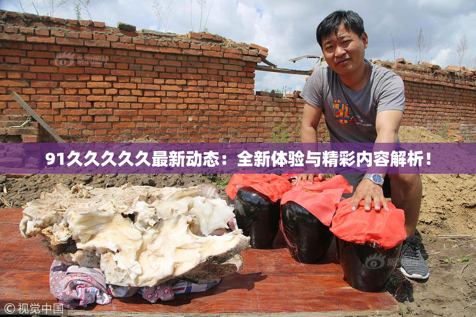 91久久久久久最新动态：全新体验与精彩内容解析！