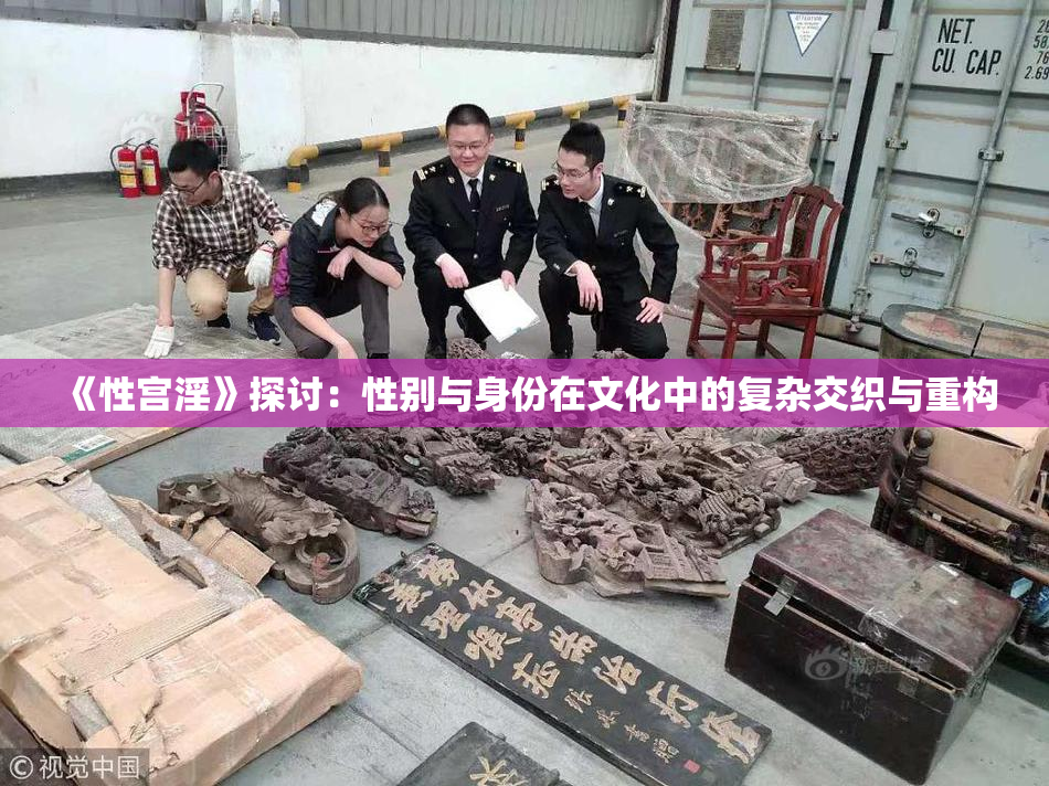 《性宫淫》探讨：性别与身份在文化中的复杂交织与重构