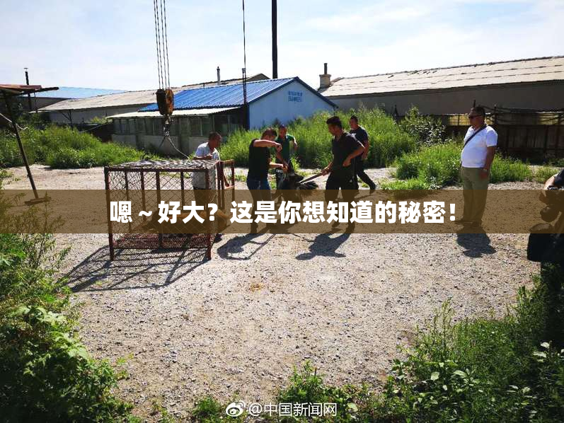 嗯～好大？这是你想知道的秘密！