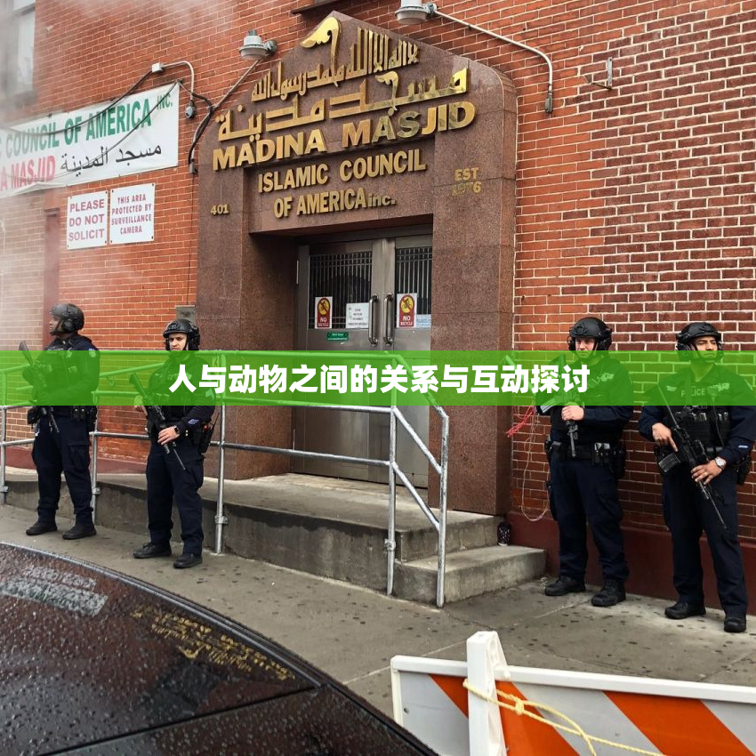 人与动物之间的关系与互动探讨