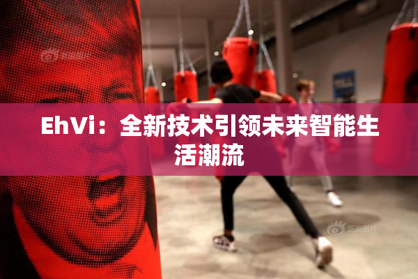EhVi：全新技术引领未来智能生活潮流