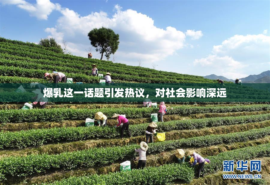 爆乳这一话题引发热议，对社会影响深远