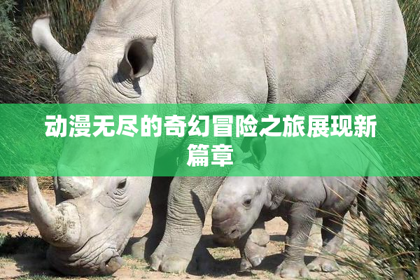 动漫无尽的奇幻冒险之旅展现新篇章