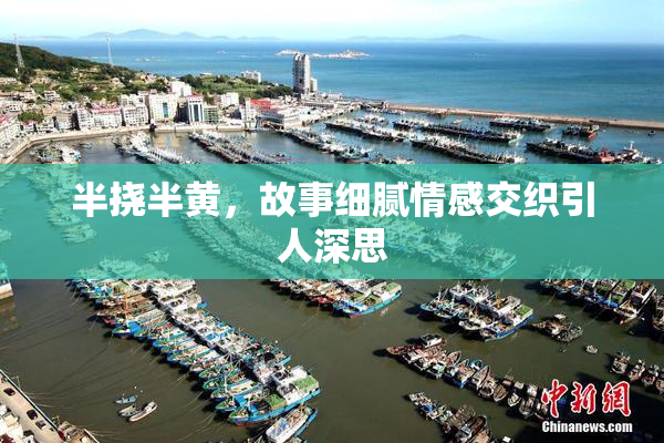 半挠半黄，故事细腻情感交织引人深思