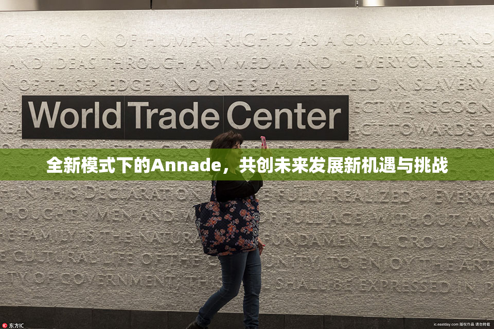 全新模式下的Annade，共创未来发展新机遇与挑战