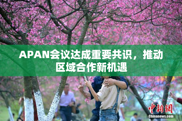 APAN会议达成重要共识，推动区域合作新机遇