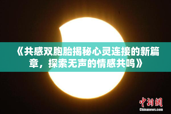 《共感双胞胎揭秘心灵连接的新篇章，探索无声的情感共鸣》