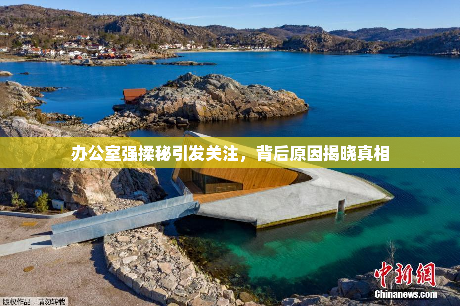 办公室强揉秘引发关注，背后原因揭晓真相