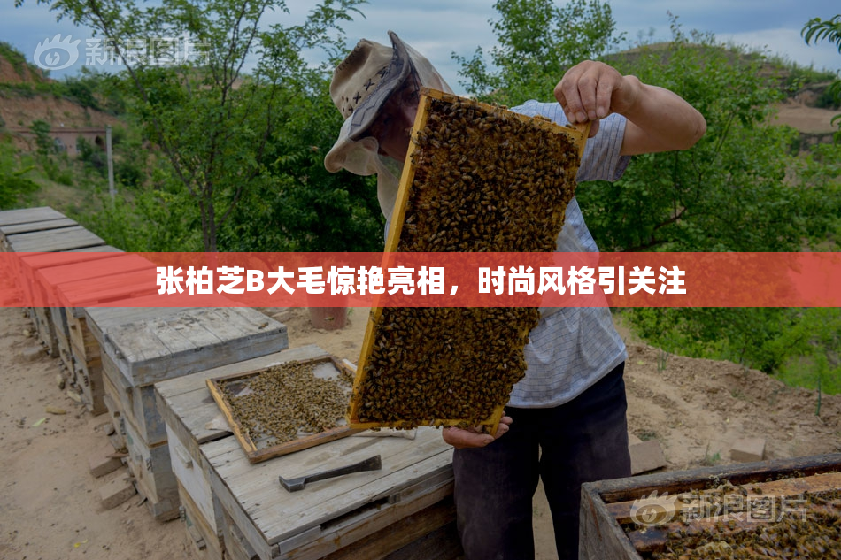 张柏芝B大毛惊艳亮相，时尚风格引关注