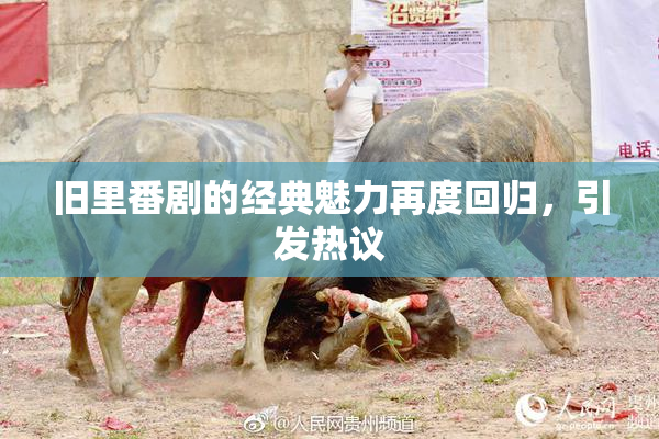 旧里番剧的经典魅力再度回归，引发热议