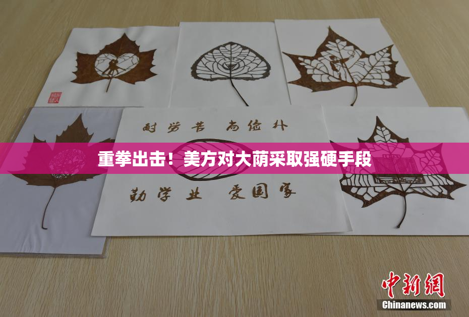 重拳出击！美方对大荫采取强硬手段
