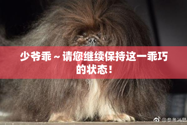 少爷乖～请您继续保持这一乖巧的状态！