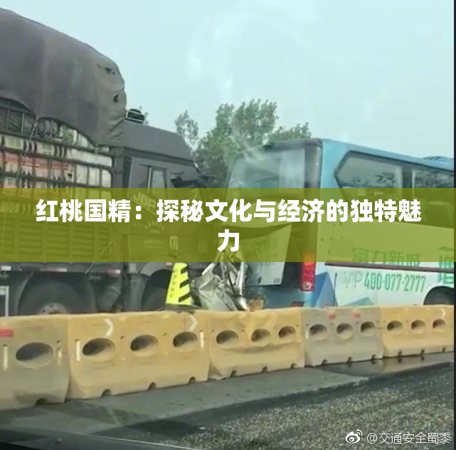 红桃国精：探秘文化与经济的独特魅力